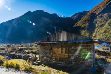 Langtang Köyü - 16 Ekim 2024: Langtang Köyü 'nde sabahın erken saatleri ve Langtang Lirung Dağı ve Gangchenpo ile Kyangji Gompa' ya giden patika