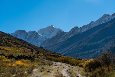 Langtang Köyü - 16 Ekim 2024: Langtang Köyü 'nde sabahın erken saatleri ve Langtang Lirung Dağı ve Gangchenpo ile Kyangji Gompa' ya giden patika