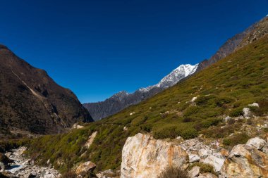 Himalayan Mountain Langtang Village to Kyanjin Ri trekking with Gangchenpo background in Nepal clipart