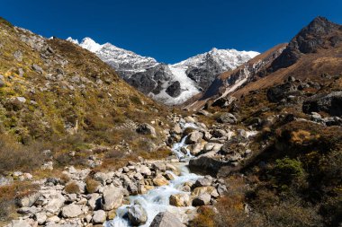 Himalaya Dağı Langtang Köyü 'nden Kyanjin Ri' ye Gangchenpo geçmişiyle Nepal 'de yürüyüş.