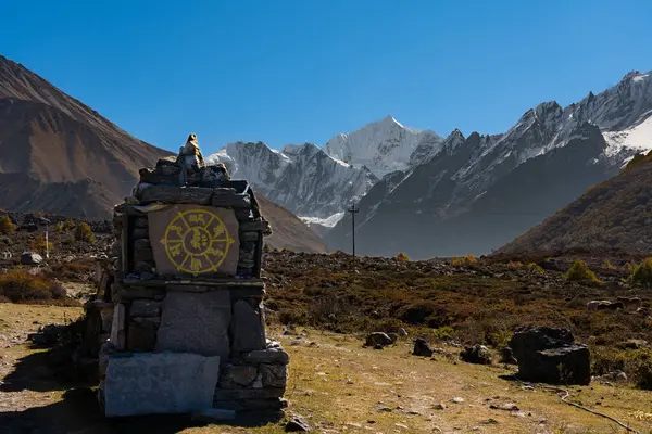 Himalaya Dağı Langtang Köyü 'nden Kyanjin Ri' ye Gangchenpo geçmişiyle Nepal 'de yürüyüş.