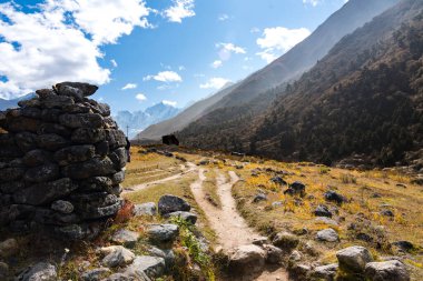 Nepal 'in Langtang Bölgesi' nin Tserko kyanjin Ri Yolu 'ndaki Sunny Trekking Yürüyüş Rotası.