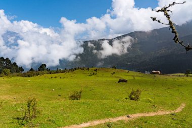 Güzel Yeşil Rolling Hills ve Mukharka Dağları Himalayalar 'da Rasuwa
