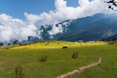 Güzel Yeşil Rolling Hills ve Mukharka Dağları Himalayalar 'da Rasuwa