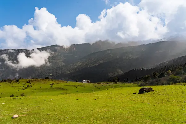 Güzel Yeşil Rolling Hills ve Mukharka Dağları Himalayalar 'da Rasuwa