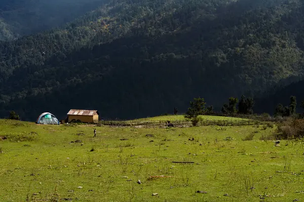 Güzel Yeşil Rolling Hills ve Mukharka Dağları Himalayalar 'da Rasuwa