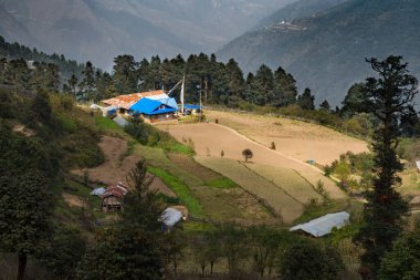 Mukharka, Laurebina, Rasuwa, Nepal - 20 Ekim 2024: Himalayalar 'ın Hilly Dağları' ndaki Nepal Tarım Köyü