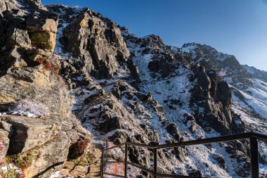 Langtang Ulusal Parkı 'ndaki Nepal' in Gosaikunda Yolu 'nda Karlı Yürüyüş Patikası ile gezinti.