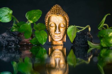 Lord Sidhartha Gautama 'nın baş heykeli. Vesak Buddha Jayanti Purnima' nın yansıması ve ışığıyla.