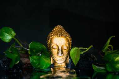 Lord Sidhartha Gautama 'nın baş heykeli. Vesak Buddha Jayanti Purnima' nın yansıması ve ışığıyla.