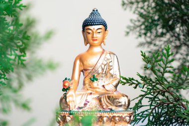 Budist Siddhartha Gautama Altın Heykel Festivali Buda Günü
