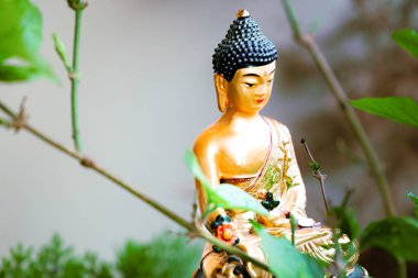 Budist Siddhartha Gautama Altın Heykel Festivali Buda Günü