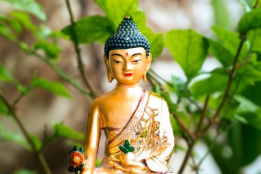 Budist Siddhartha Gautama Altın Heykel Festivali Buda Günü