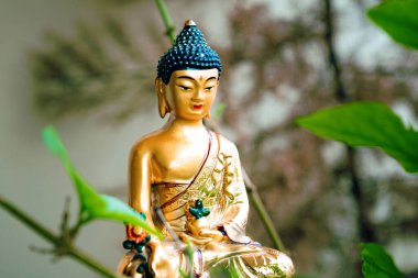 Budist Siddhartha Gautama Altın Heykel Festivali Buda Günü
