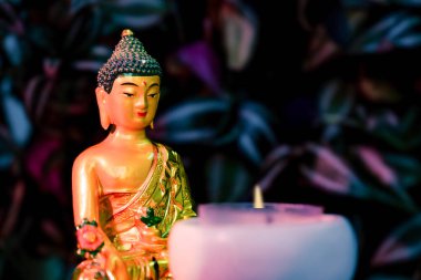 Budist Siddhartha Gautama Altın Heykel Festivali Buda Günü