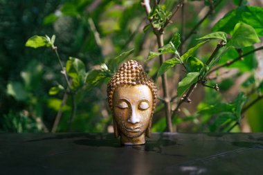 Lord Sidhartha Gautama 'nın baş heykeli. Vesak Buddha Jayanti Purnima' nın yansıması ve ışığıyla.