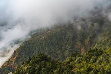 Foggy Hillside Peyzajı Yukarı Ghopte Yüksek Kampı, Langtang Bölgesi, Nepal.