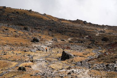 Lauribina Geçidi, Langtang, Nepal 21 Ekim 2024: Himalayalar 'daki Lauribina Geçidi' nden Yüksek Kamp 'a doğru bir gezgin yürüyüşü.