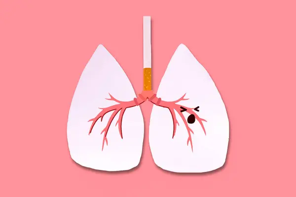 Dünya Sigara İçilmeyen Günü, Dünya Kanser Günü ve Dünya Tütünsüz Kampanyaları için dumansız bir dünya tanıtın.