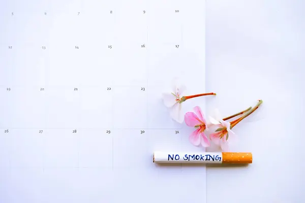 Dünya Sigara İçilmeyen Günü, Dünya Kanser Günü ve Dünya Tütünsüz Kampanyaları için dumansız bir dünya tanıtın.