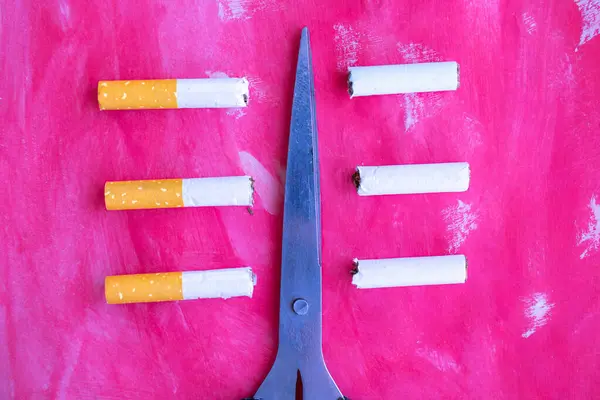 Dünya Sigara İçilmeyen Günü, Dünya Kanser Günü ve Dünya Tütünsüz Kampanyaları için dumansız bir dünya tanıtın.