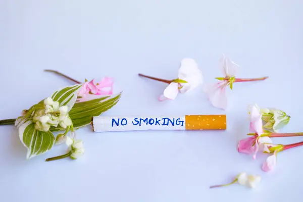 Dünya Sigara İçilmeyen Günü, Dünya Kanser Günü ve Dünya Tütünsüz Kampanyaları için dumansız bir dünya tanıtın.