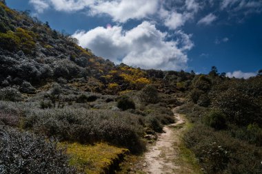 Yürüyüş için Himalayalar 'da Trekking Trail. Manikot 'taki Yukarı Dağlara Yol