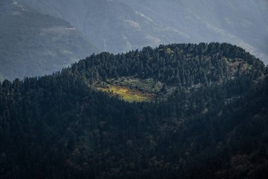 Himalayalar 'ın tepesinde Yeşil Düz Vadi olan bir dağdaki yemyeşil bir ormanın panoramik görüntüsü