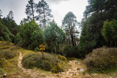 Yürüyüş için Himalayalar 'da Trekking Trail. Manikot 'taki Yukarı Dağlara Yol