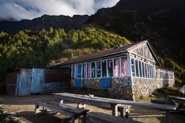 Magingoth, Thatepati, Lagtang, Nepal - 22 Ekim 2024: Himalayalar 'da Yeşillik Ormanı ve Çay Dükkanları ile Seyahat Yolu