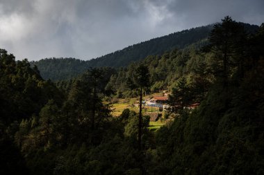 Magingoth, Thatepati, Lagtang, Nepal - 22 Ekim 2024: Himalayalar 'da Yeşillik Ormanı ve Çay Dükkanları ile Seyahat Yolu