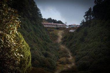 Magingoth, Thatepati, Lagtang, Nepal - 22 Ekim 2024: Himalayalar 'da Yeşillik Ormanı ve Çay Dükkanları ile Seyahat Yolu