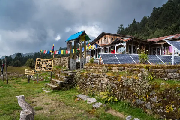 Magingoth, Thatepati, Lagtang, Nepal - 22 Ekim 2024: Himalayalar 'da Yeşillik Ormanı ve Çay Dükkanları ile Seyahat Yolu