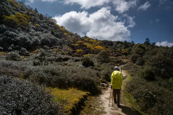 Magingoth, Thatepati, Lagtang, Nepal - 22 Ekim 2024: Nepal dağlarında yürüyüş