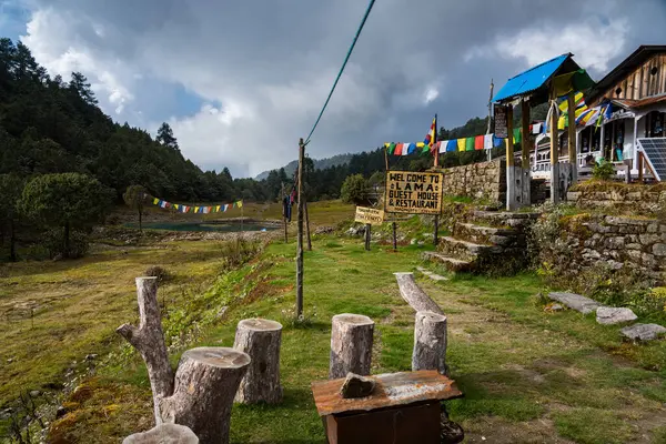 Magingoth, Thatepati, Lagtang, Nepal - 22 Ekim 2024: Himalayalar 'da Yeşillik Ormanı ve Çay Dükkanları ile Seyahat Yolu