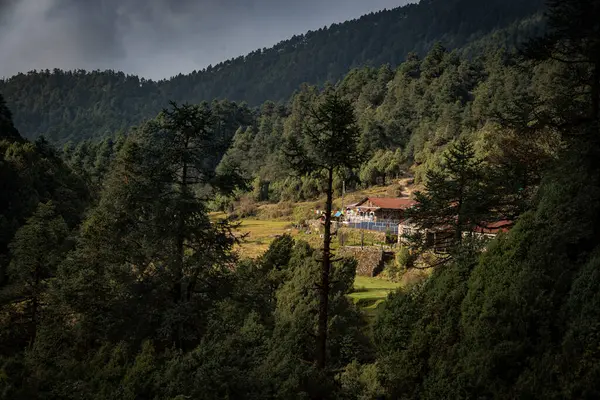 Magingoth, Thatepati, Lagtang, Nepal - 22 Ekim 2024: Himalayalar 'da Yeşillik Ormanı ve Çay Dükkanları ile Seyahat Yolu
