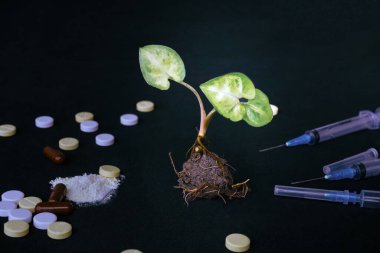 Uyuşturucuya Hayır deyin, Uyuşturucuyla Mücadele Bilinç ve Enjeksiyon Tasarımı İlaçları, Şırıngayla