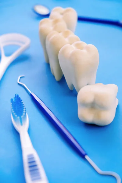 Tandmodell Och Tandläkarutrustning Blå Bakgrund Begreppet Bild Dentala Bakgrund Tandhygien — Stockfoto