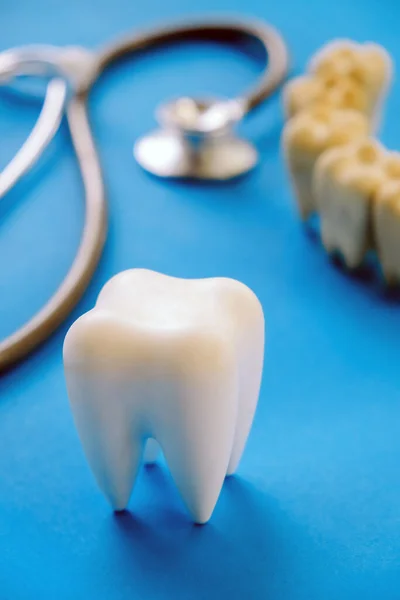 青の背景に歯科モデルと歯科機器 歯の概念 — ストック写真