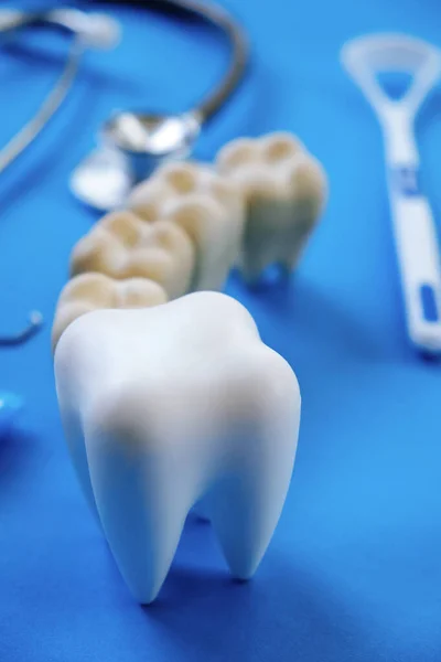 Modelo Odontológico Equipamentos Odontológicos Fundo Azul Conceito Odontologia — Fotografia de Stock