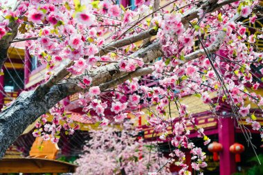 Sahte çiçek, yapay Japon kiraz çiçekleri tamamen çiçek açmış. Güzel çiçek arkaplanı.