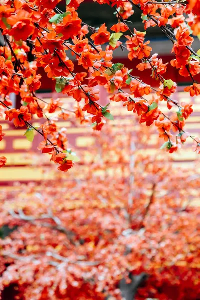 Imitationsblume Künstliche Japanische Kirschblüten Voller Blüte Schöne Blumen Hintergrund — Stockfoto