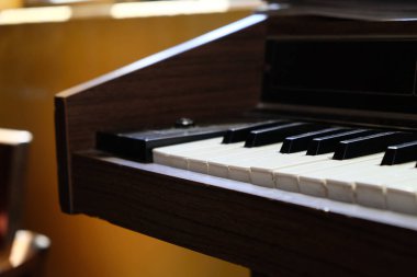 Elektronik Vintage Organ 'ın detaylı resmi 