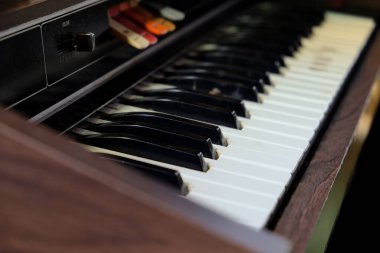 Elektronik Vintage Organ 'ın detaylı resmi 