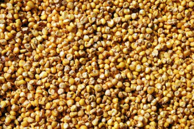 Mısır tohumu tanelerini kapatın. Yemek arkaplanı. Üst görünüm.