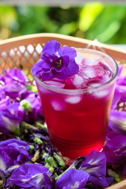 Kelebek Bezelye Çayı demlenmiş kelebek çiçekleri tarafından yapılan özel bir çay bu çay sıcak ya da soğuk servis edilebilir.. 