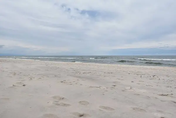 Baltık Denizi kıyısında. Vahşi kumlu sahil ve soğuk deniz