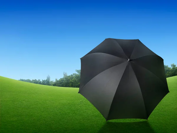 Svart Paraply Grön Gräsmatta Och Bakgrund Den Blå Himlen — Stockfoto