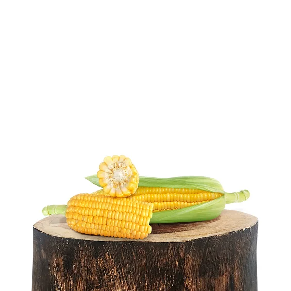 Corn Old Wood Log White Background — Stock Photo, Image