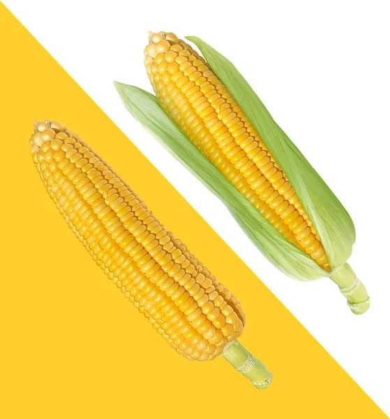 Kukorica Fehér Sárga Háttér — Stock Fotó